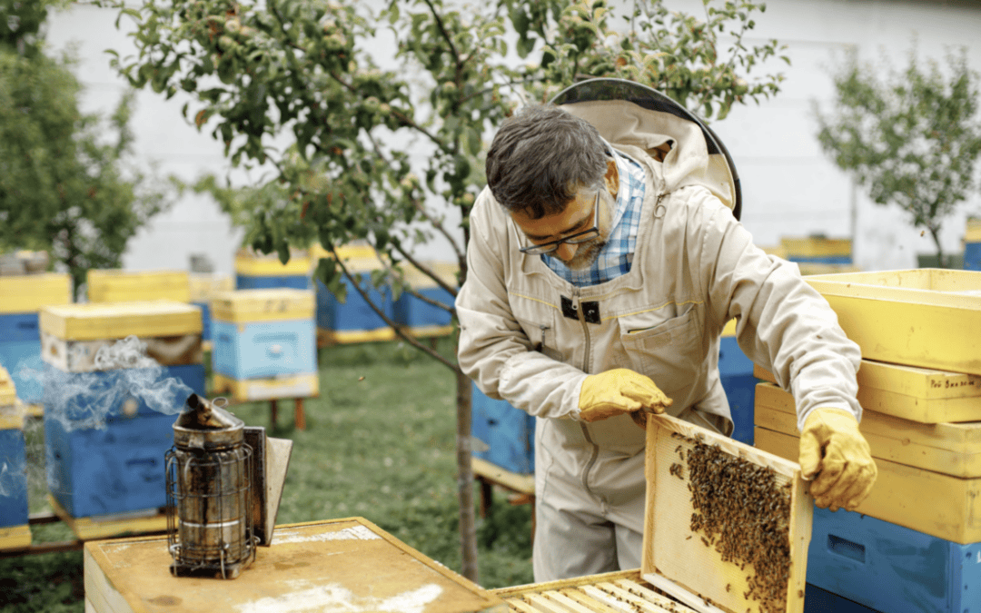 Your Top Bee Questions Answered: What AI Tools Say About Bee Removal